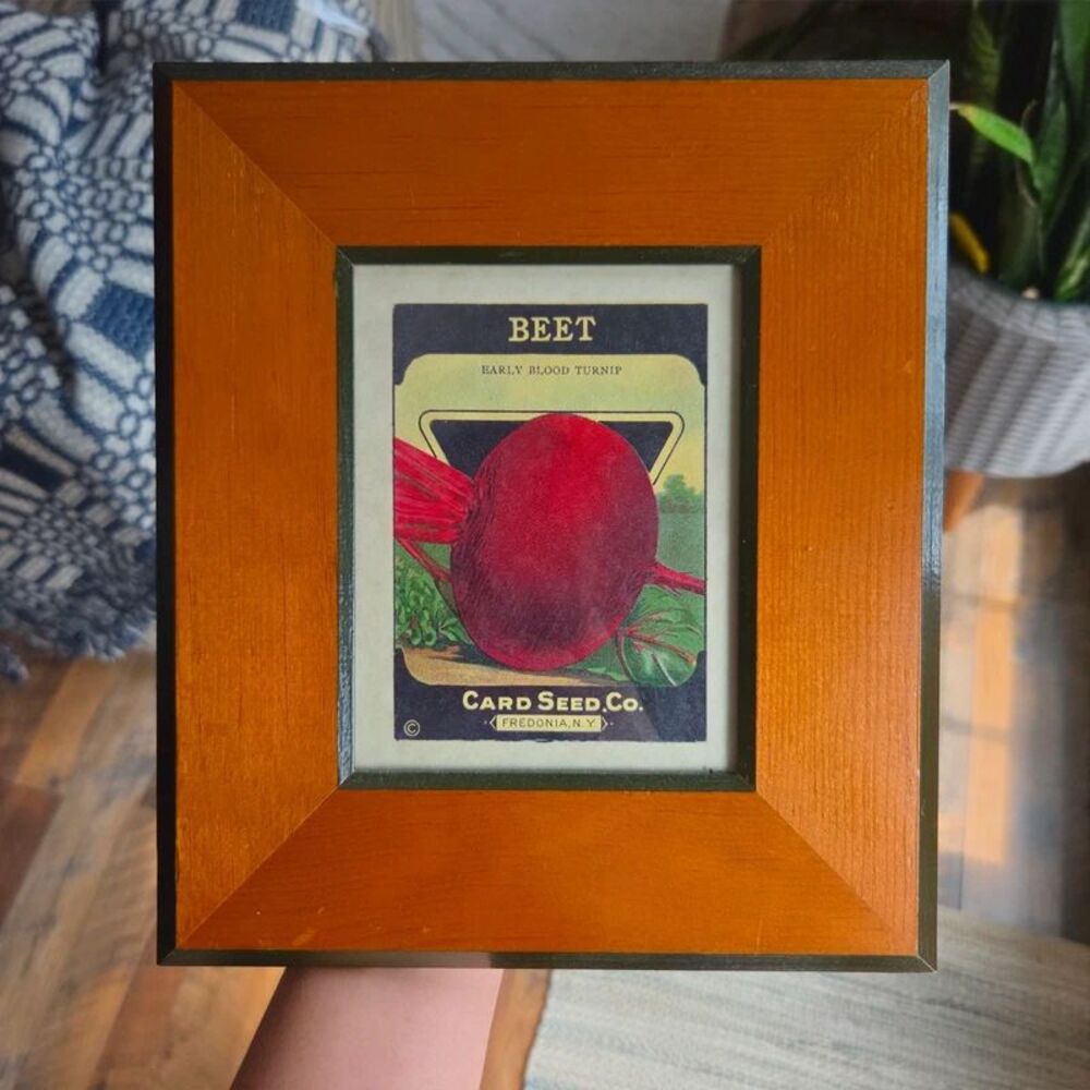 Vintage Seed Packet Advertising 1920 General Store NY Beet Turnip Framed Art